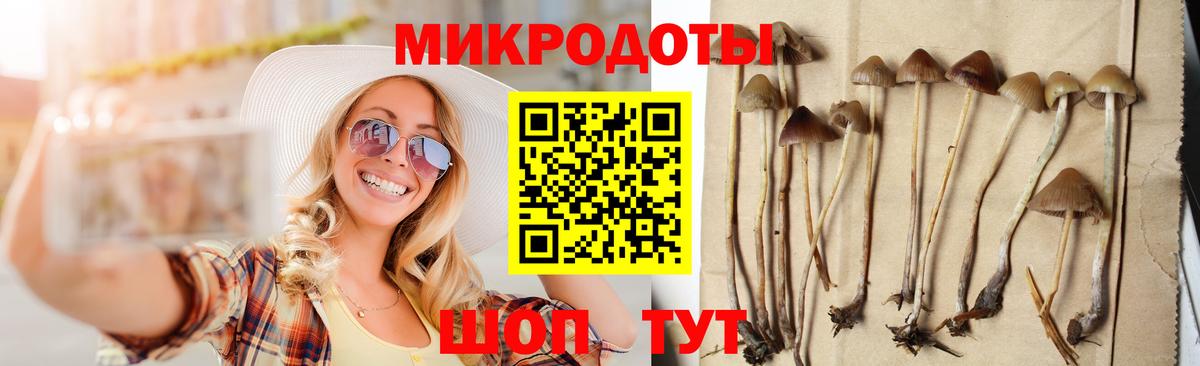 Псилоцибиновые грибы GOLDEN TEACHER Балашиха